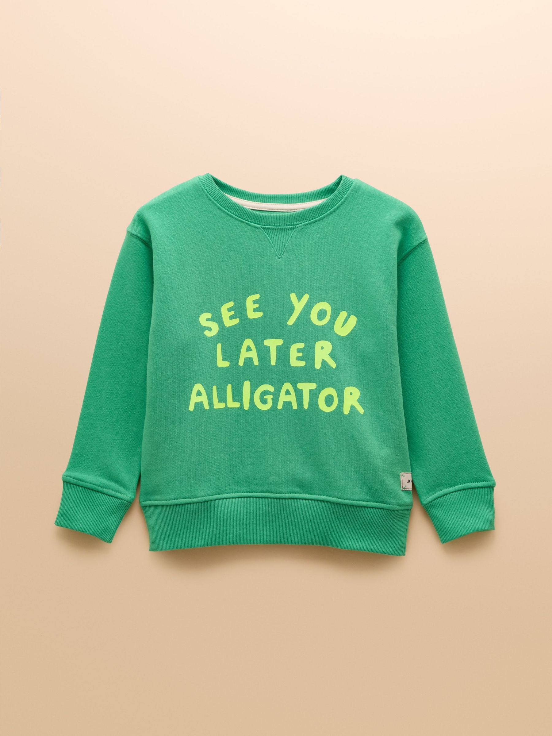 Sundaze Green Crew Neck Slogan Sweatshirt (AV7402) | £16 - £18