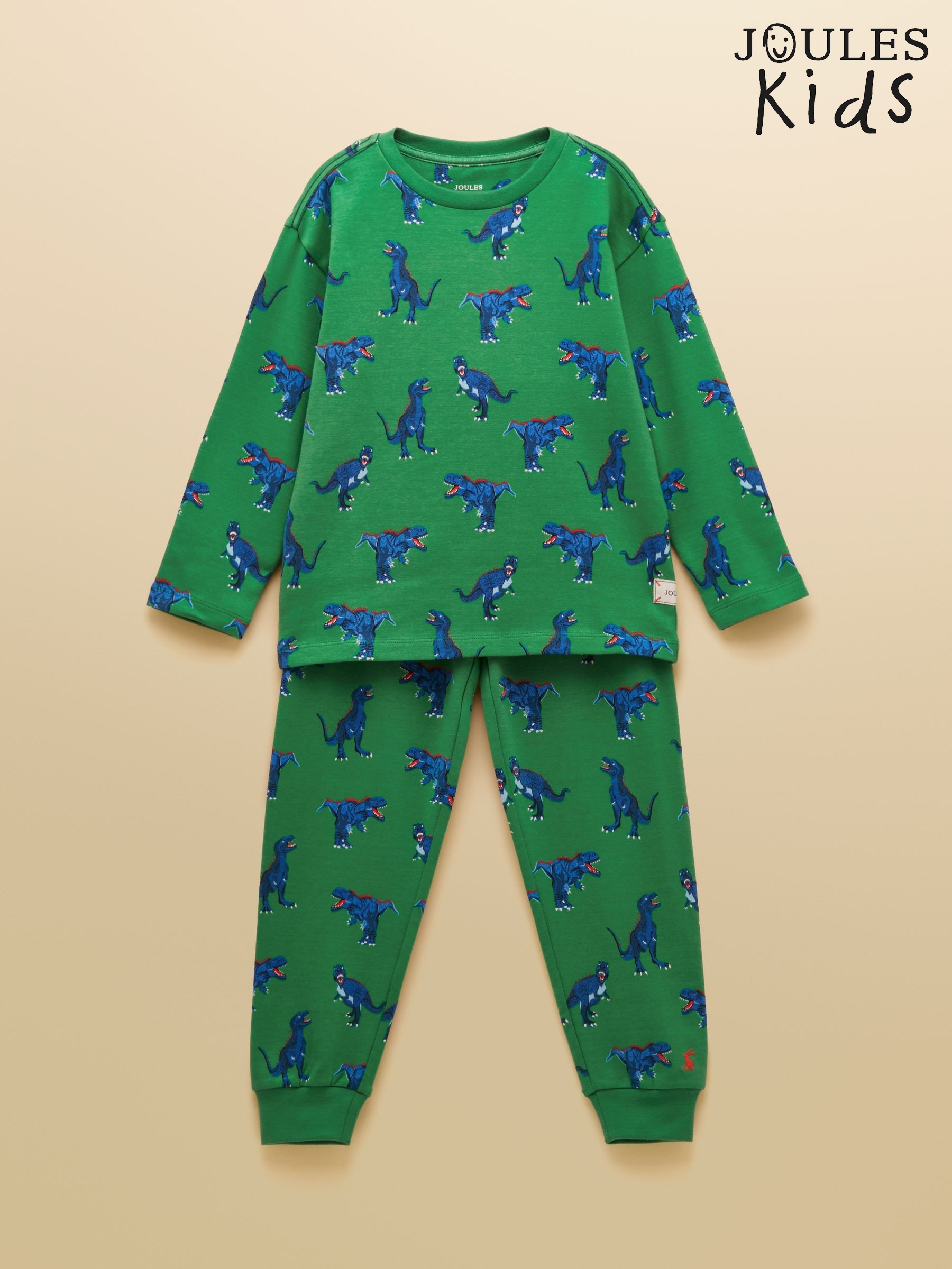 Boys' Kipwell Green Dino Long Sleeve Pyjama Set (AY5108) | £22 - £28