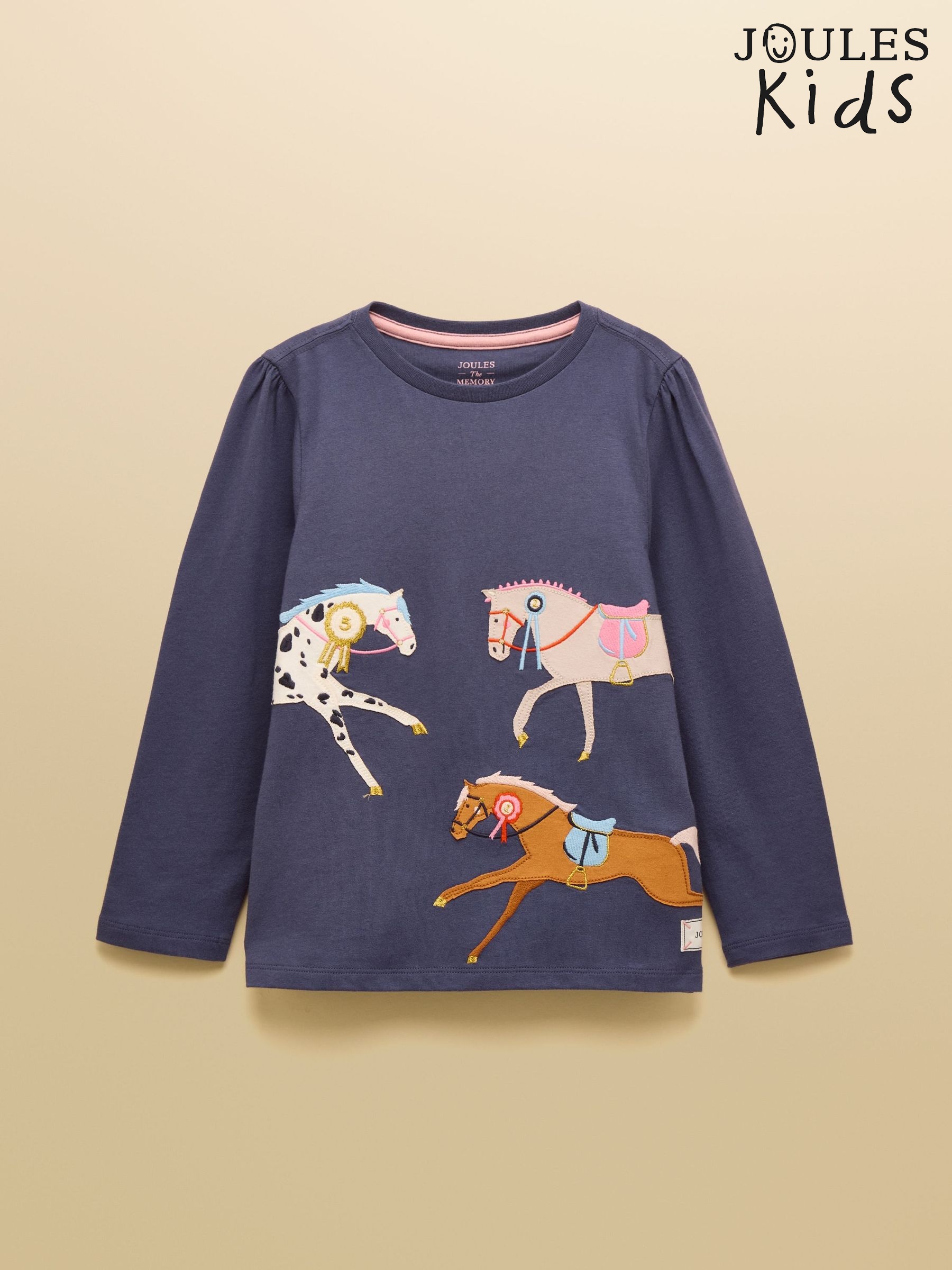 Girls' Ava Blue Horse Applique Long Sleeve Top (AY5466) | £17 - £19