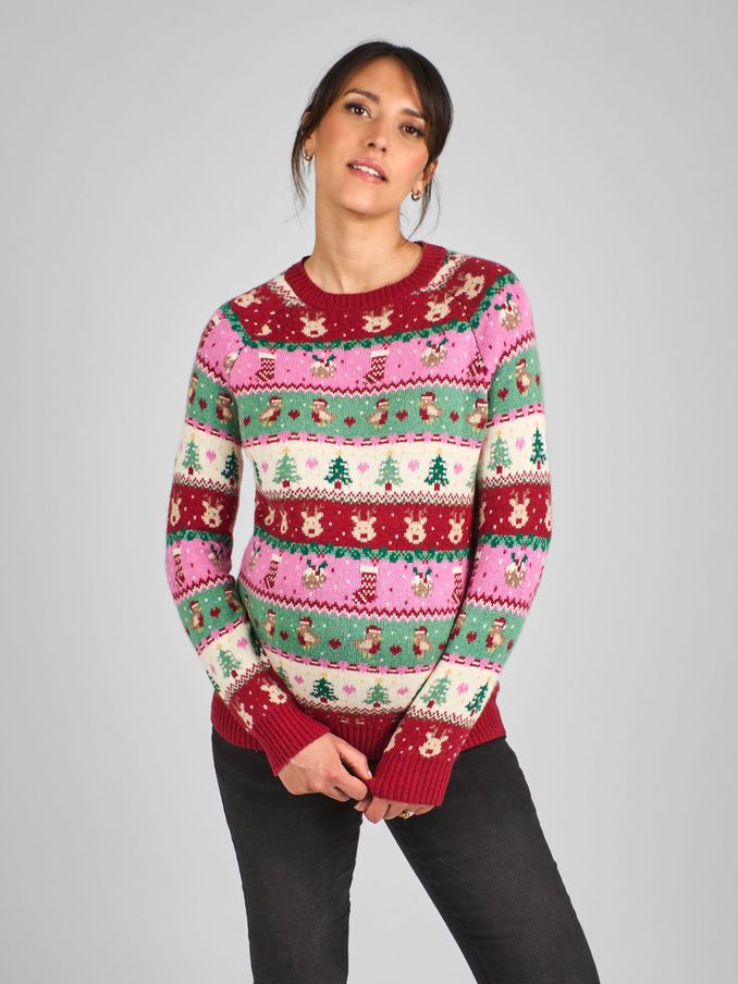 Pink Festive Friends Fair Isle Pattern Jumper (B04004) | £10