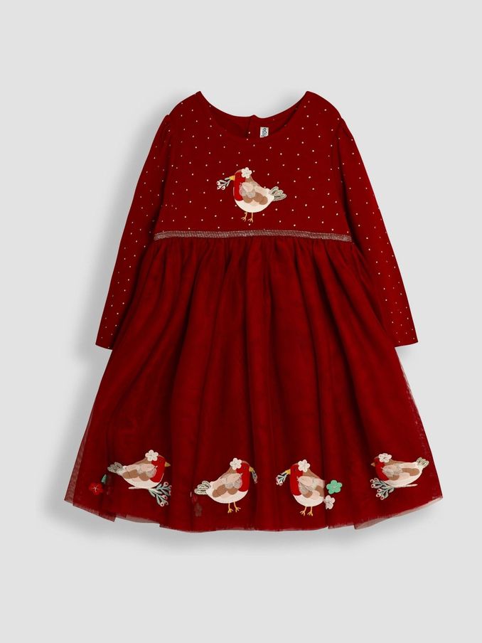 Red Robin Appliqué Tulle Party Dress (B12088) | £18 - £21