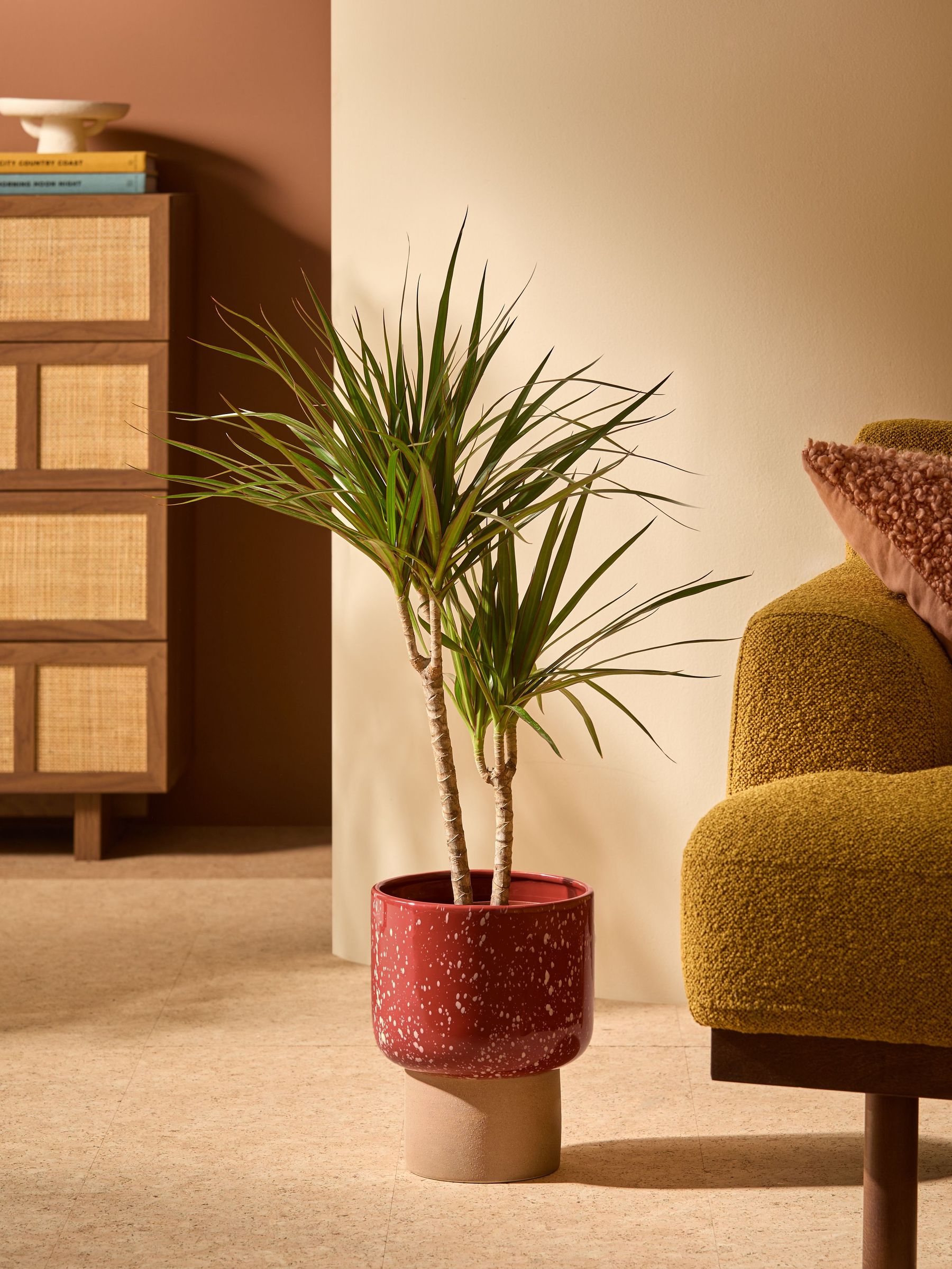 Santiago Hand Splatter Medium Plant Pot in Terracotta & White (E30283) | £38