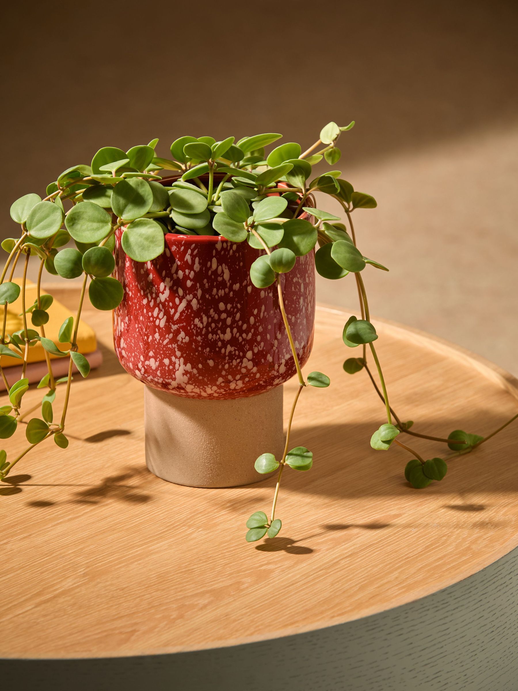 Santiago Hand Splatter Small Plant Pot in Terracotta & White (E30284) | £24