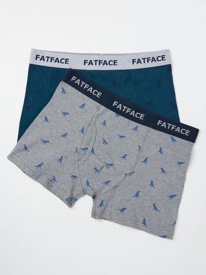 Grey Dinosaur Boxers 2 Pack (E50197) | £8