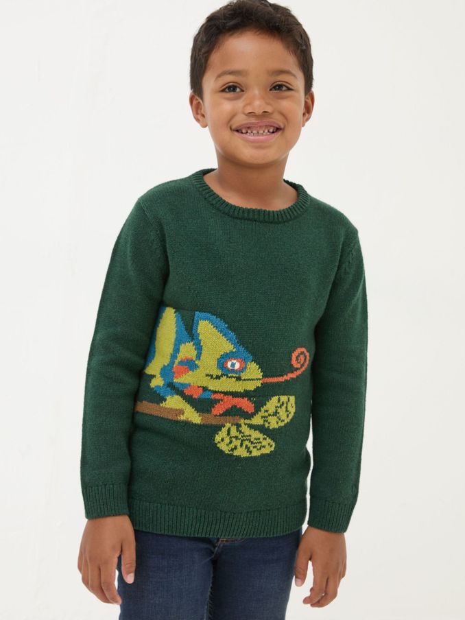 Green Chameleon Jumper (E50320) | £12