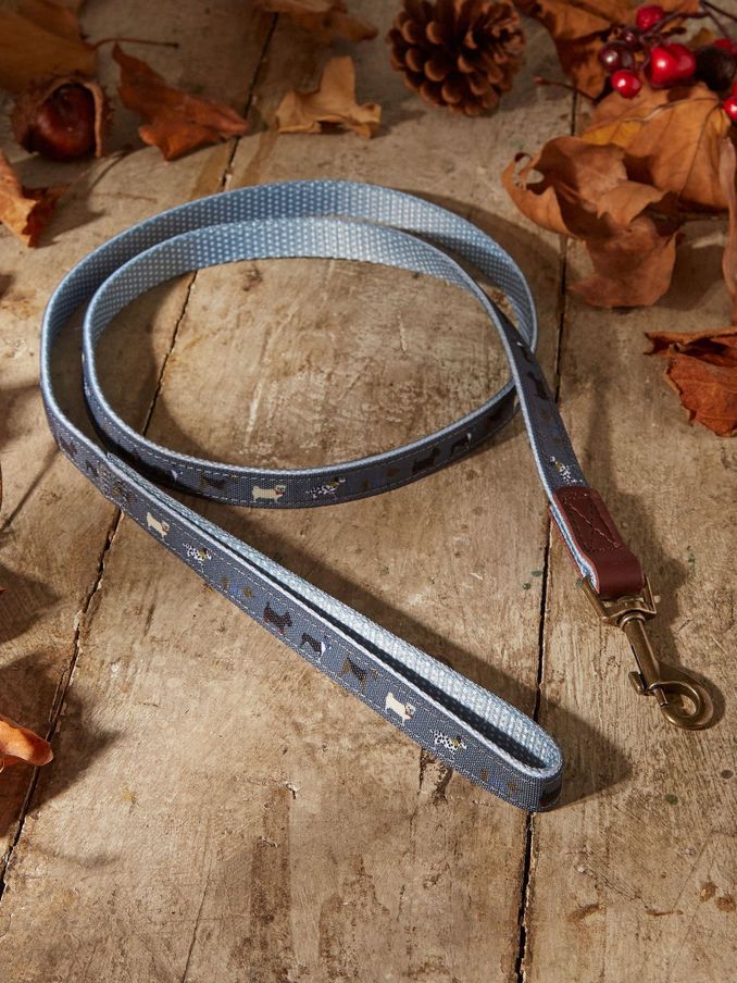 Grey Dogs Small Lead (E60341) | £11