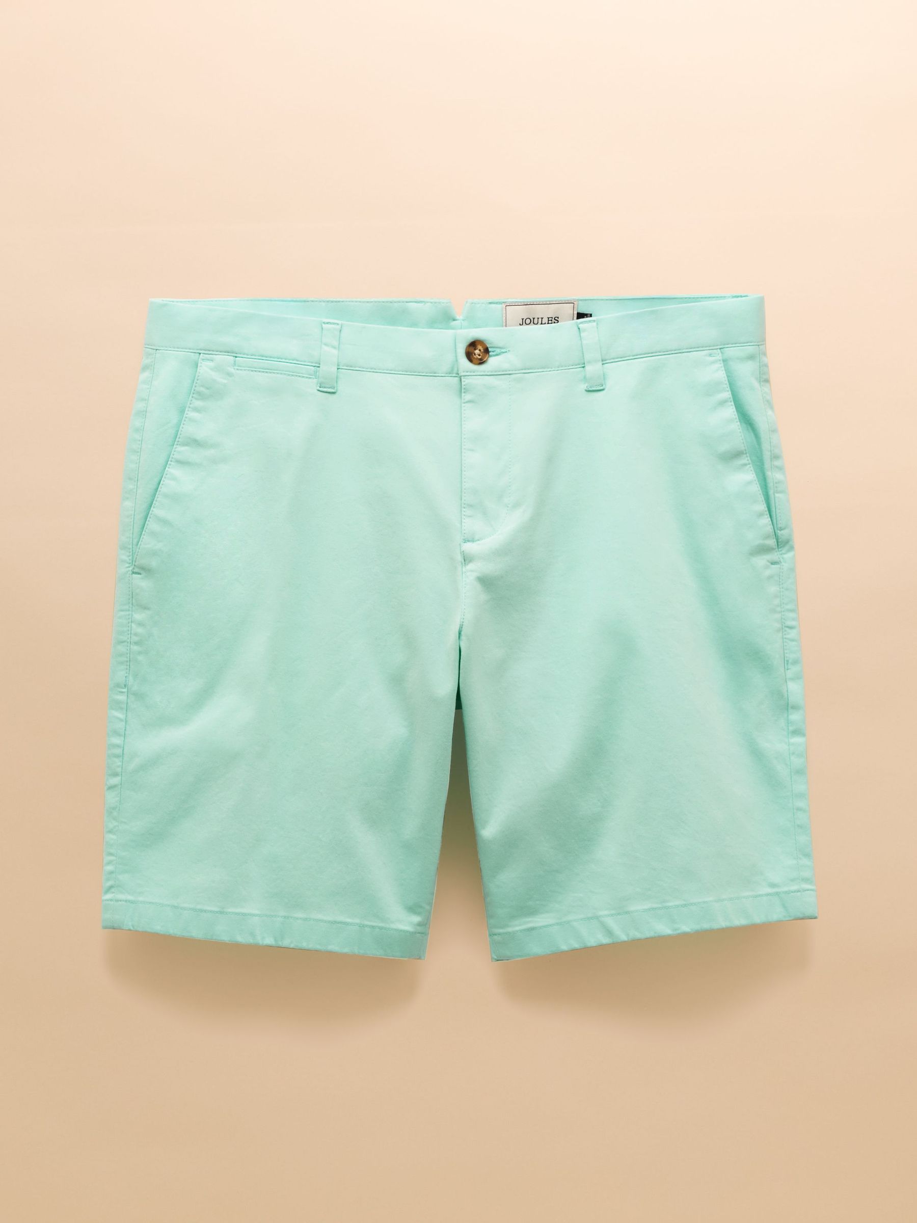 Classic Fit Mint Green Chino Shorts