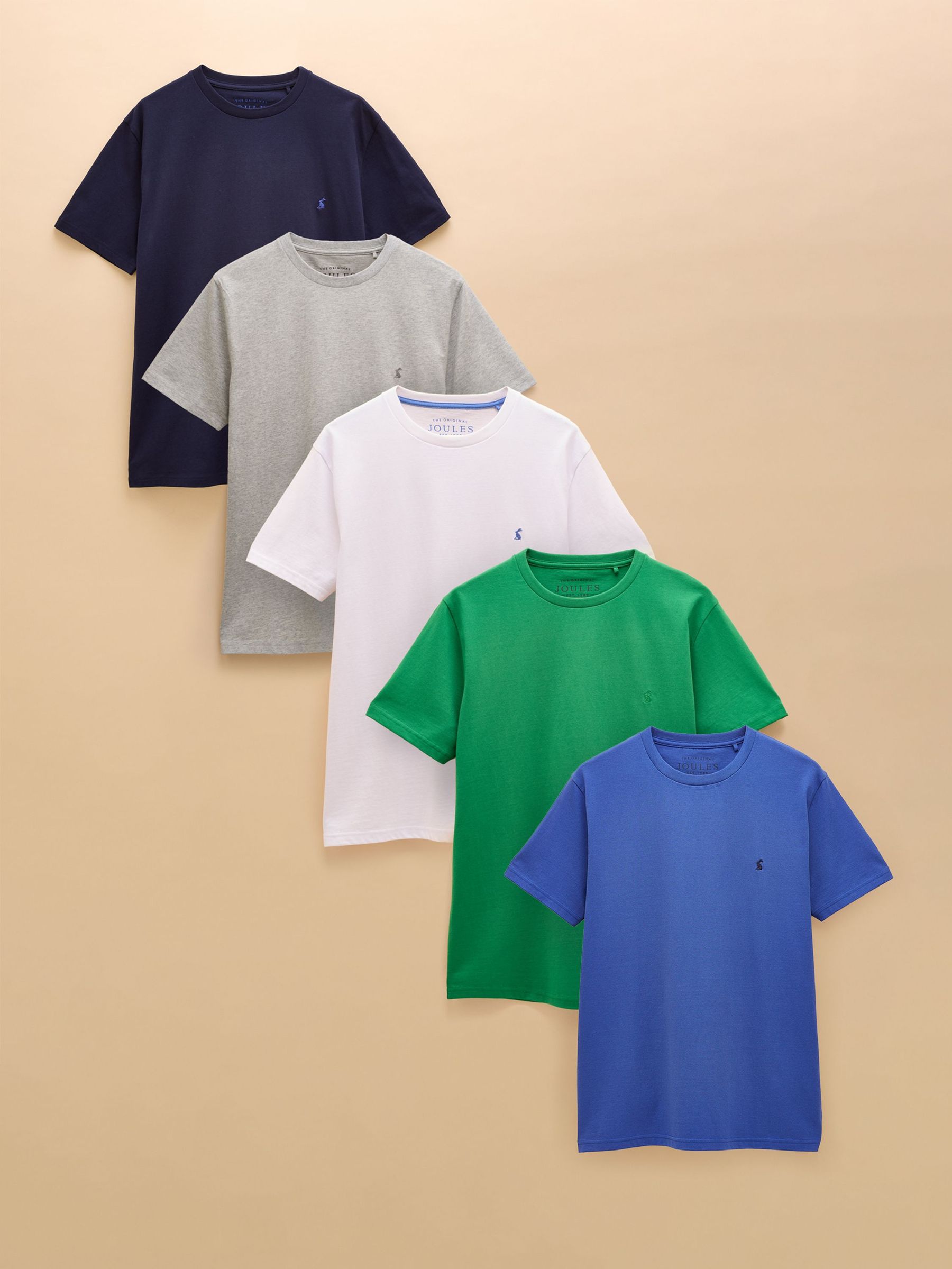 Everyday Multi/White 5 Pack Crew Neck Cotton T-Shirts (E96877) | £70
