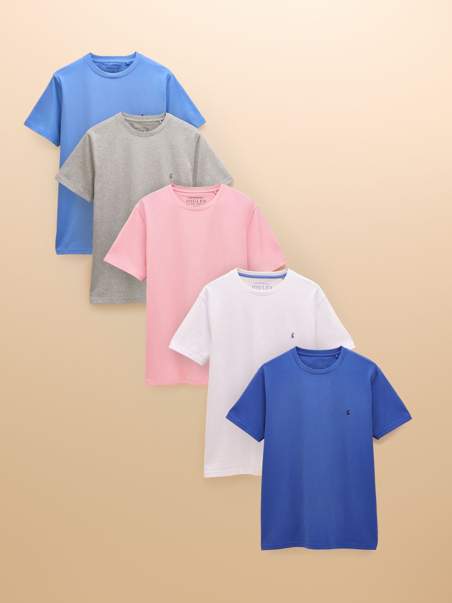 Everyday Multi Bright 5 Pack Crew Neck Cotton T-Shirts (E96878) | £70