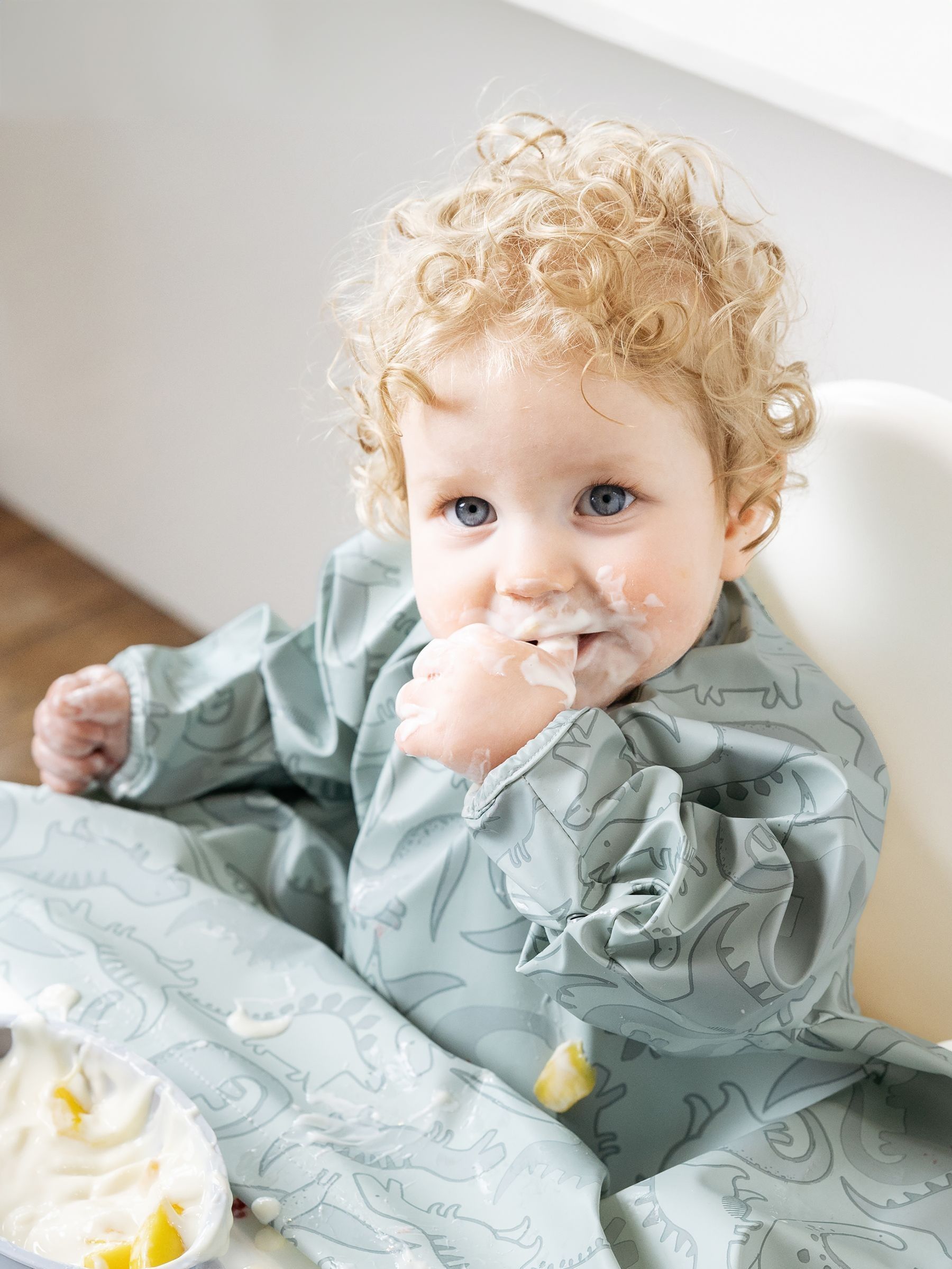 Bibado Green Coverall Weaning Bib - Dino Roar (F11272) | £20