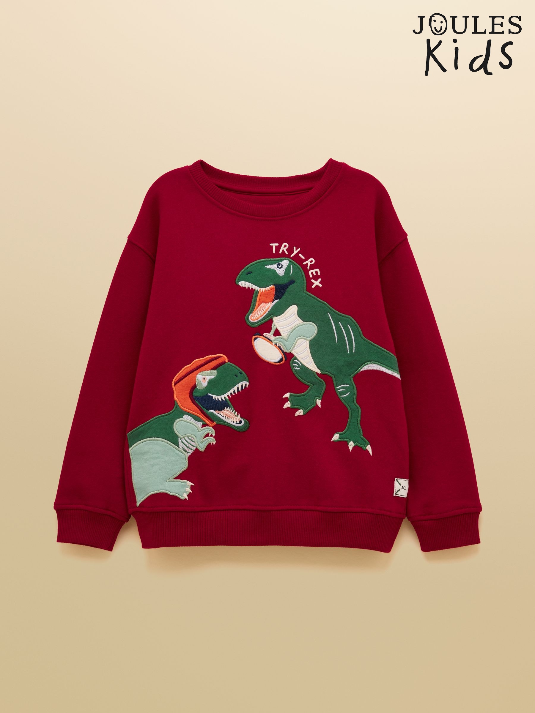 Boys' Port Dino Applique Sweatshirt (F11935) | £24 - £27