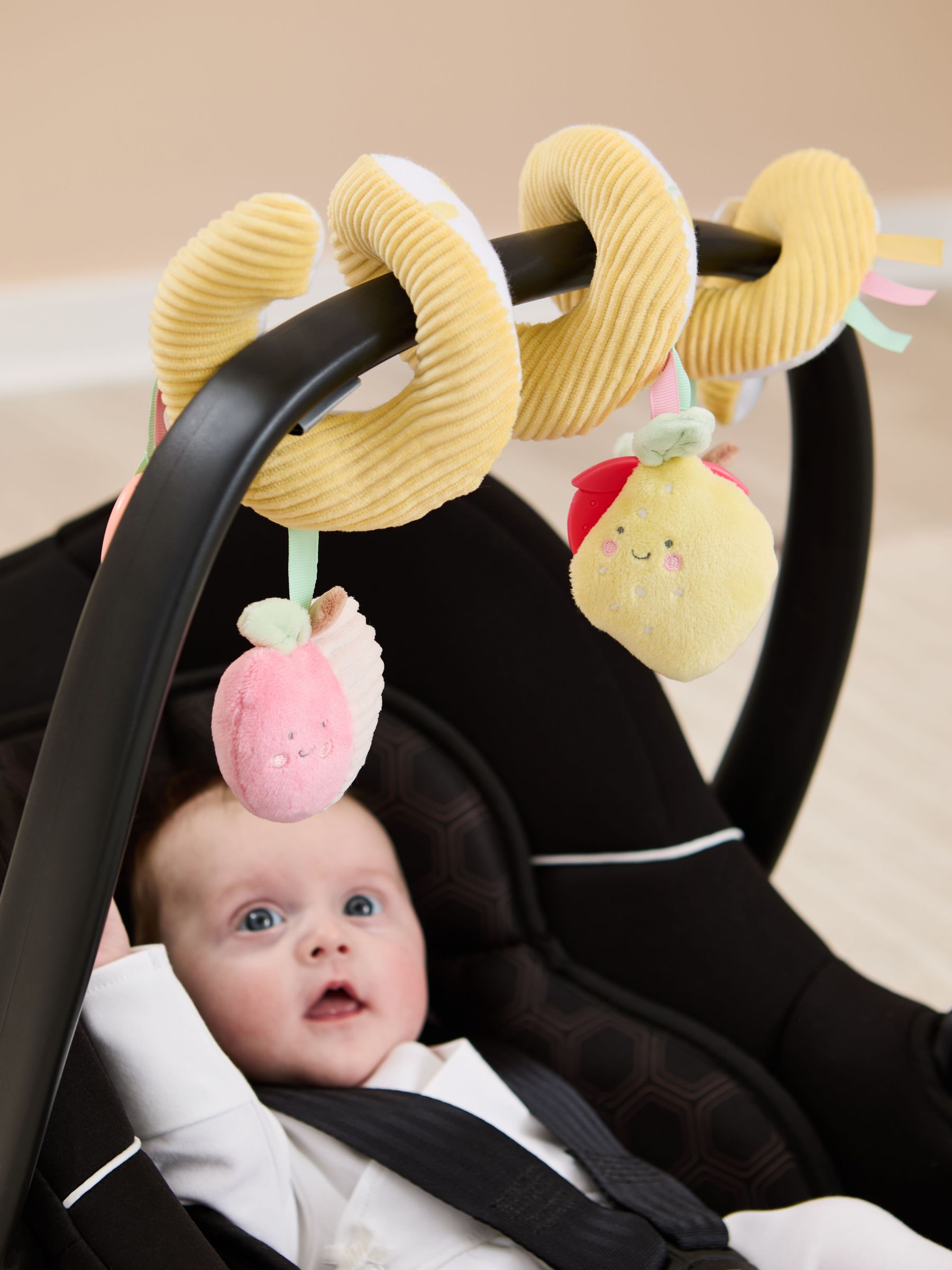 Fruit Activity Spiral (F19609) | £22