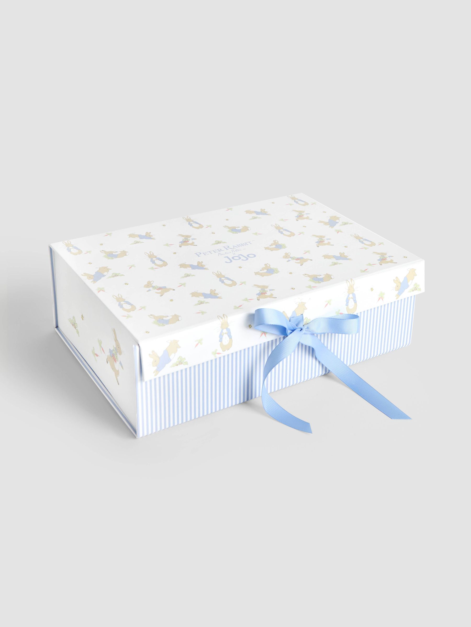 Medium Peter Rabbit Gift Box (F20247) | £3.50