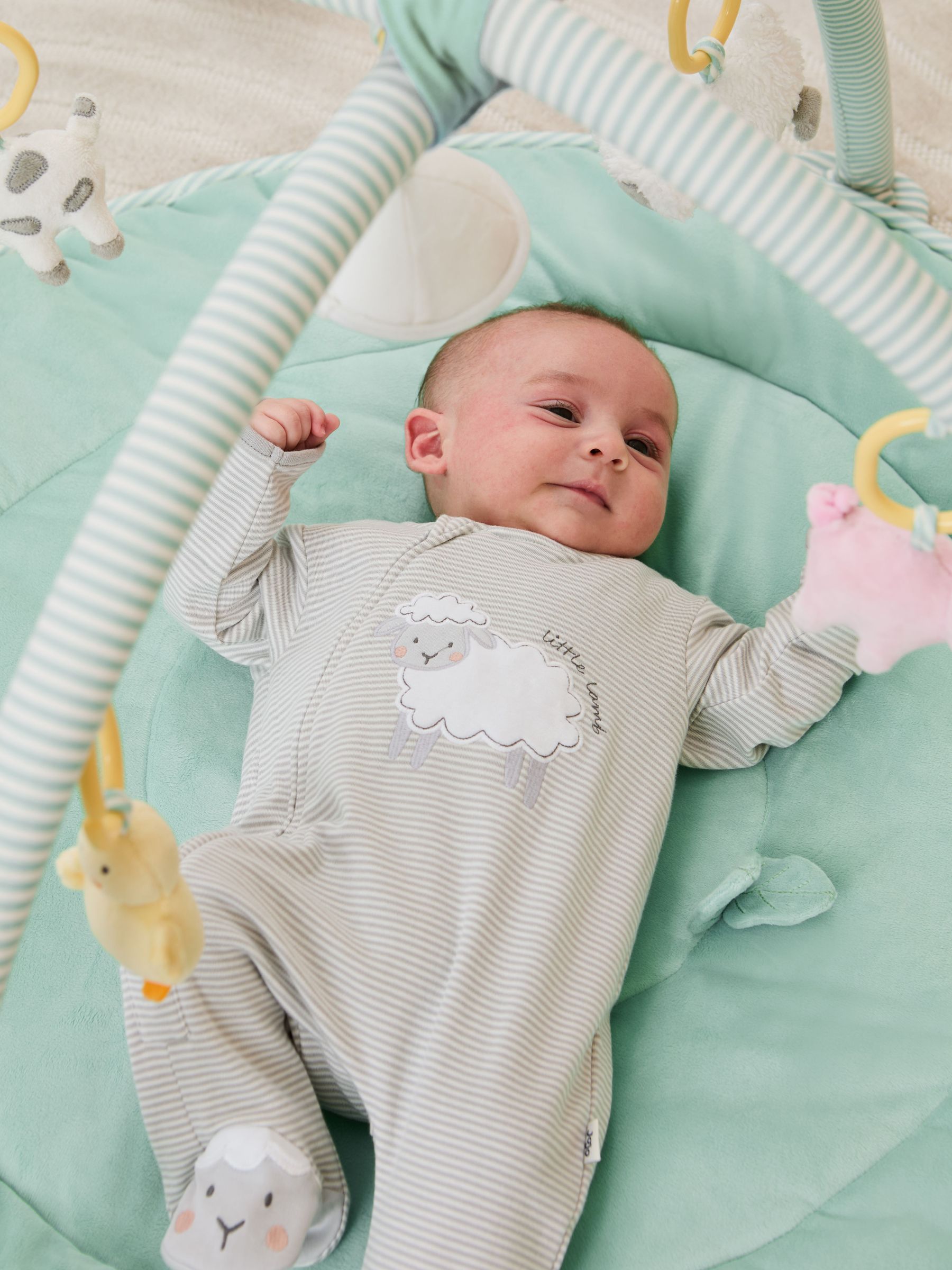 Playmat and Gym (F43255) | £65
