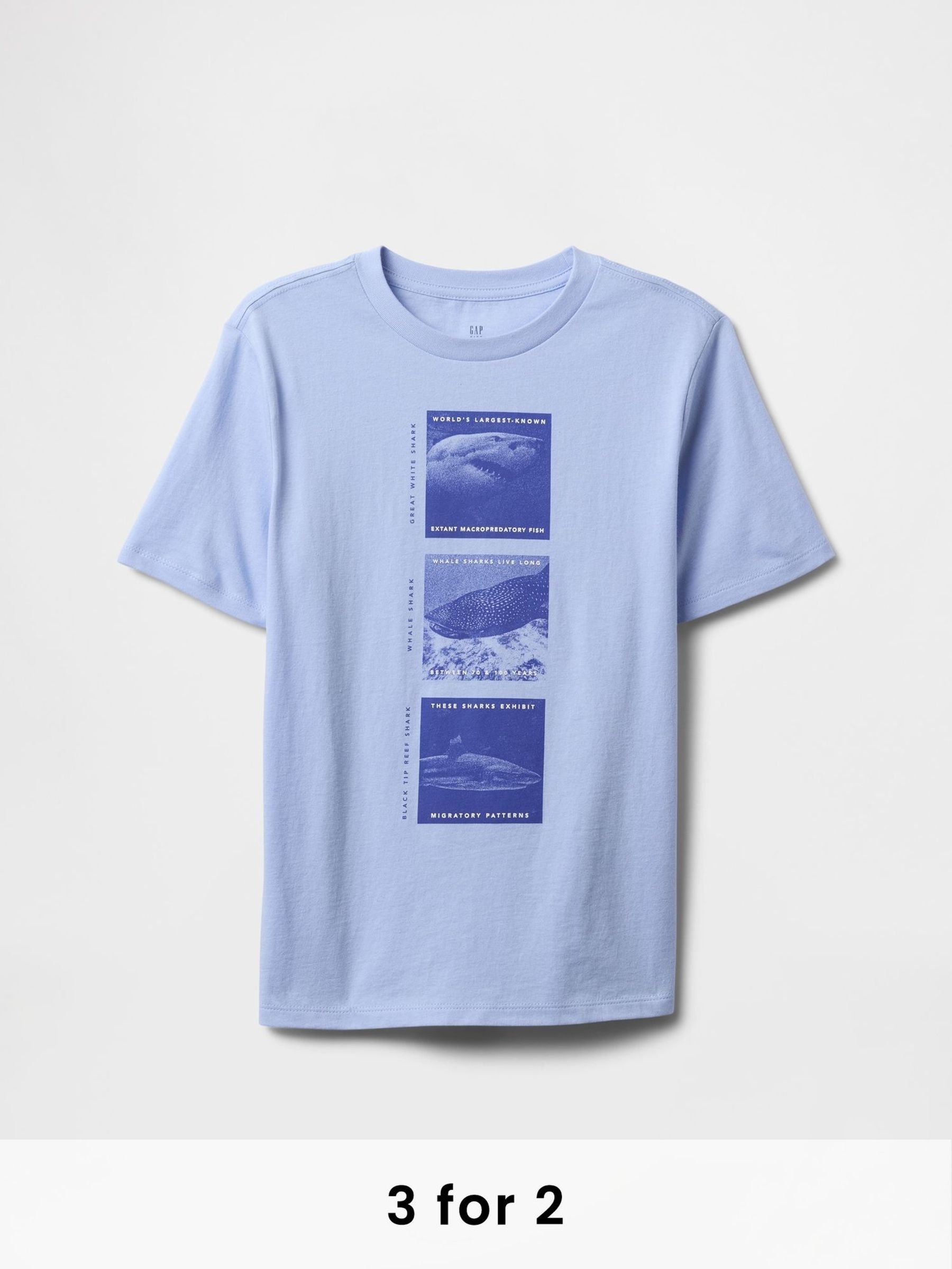 Blue Graphic T-Shirt (4-13yrs) (F79371) | £10