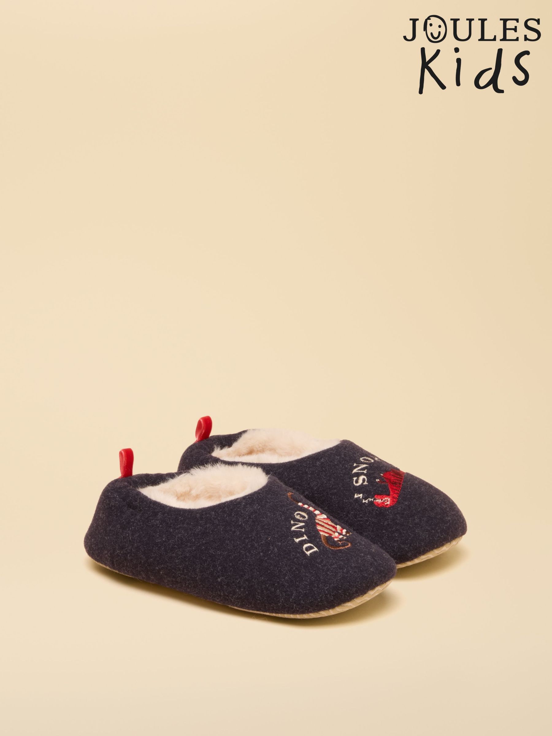 Navy Dino - Embroidered Slipper