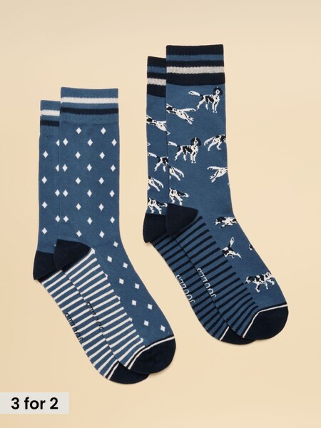 Blue Dog - Regular Socks 2 Pack (size 7-12)