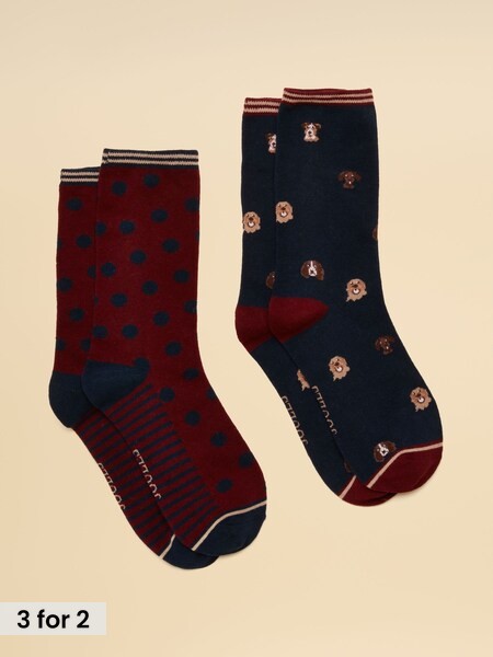 Navy Mini Dog - Cotton Blend Socks 2 Pack (size 4-8)