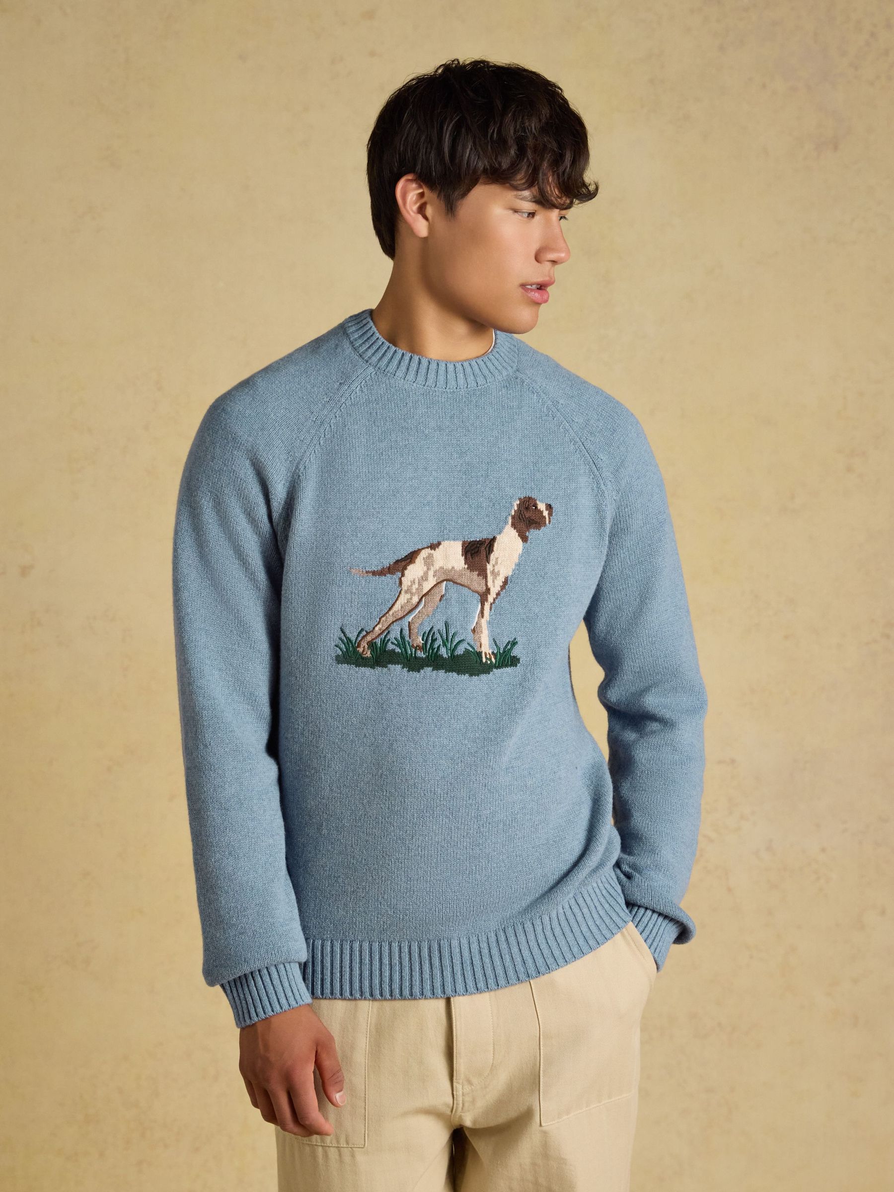 Blue Dog - Regular Jumper