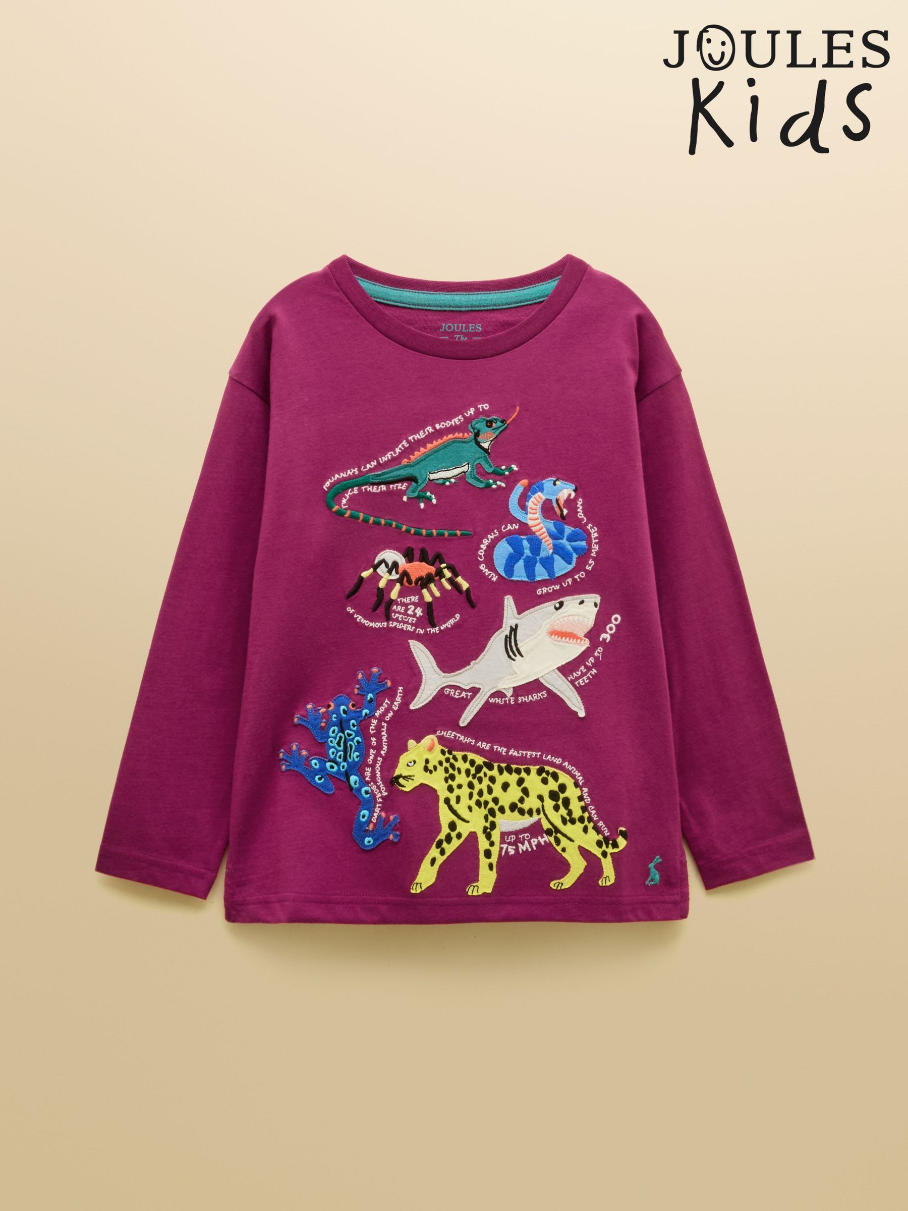 Purple - Long Sleeve Applique Graphic T-shirt