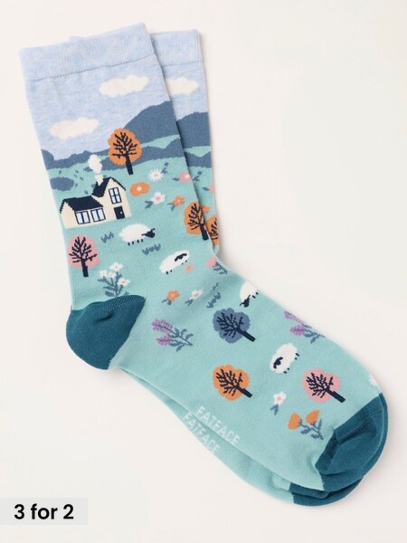 Multi Colour - Sheep Scene Socks