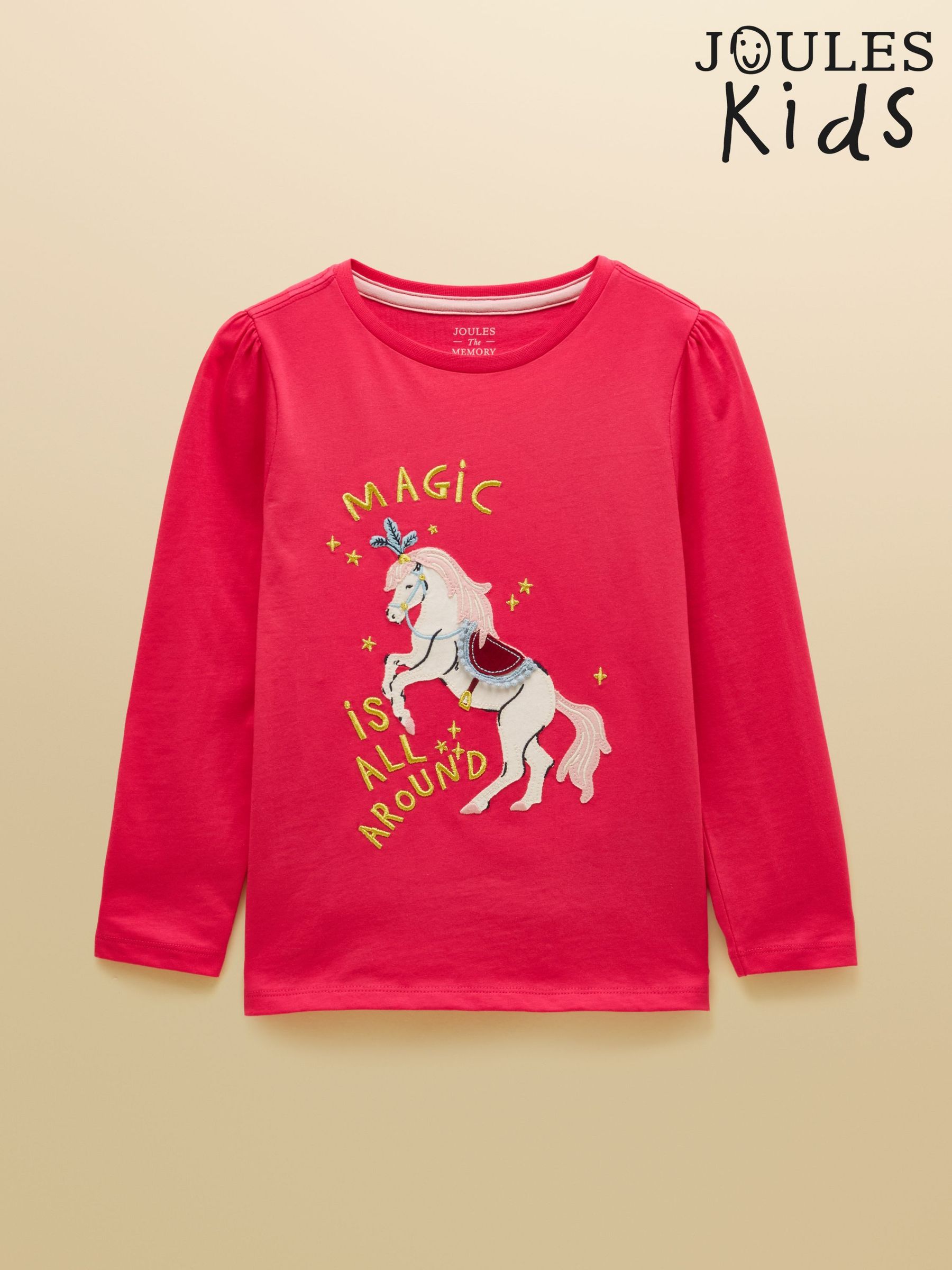 Pink - Applique Long Sleeve Top