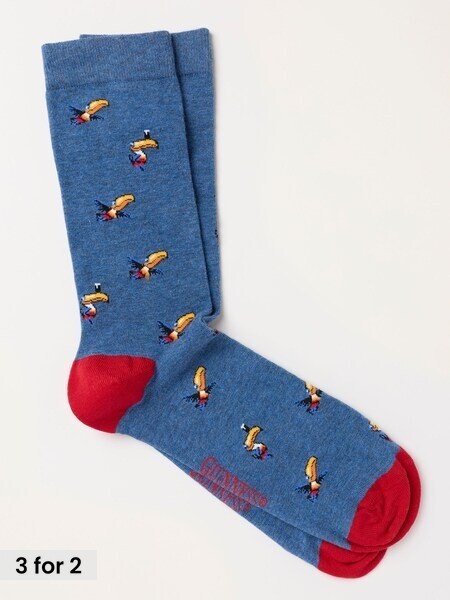 Blue - Regular Guinness Toucan Socks