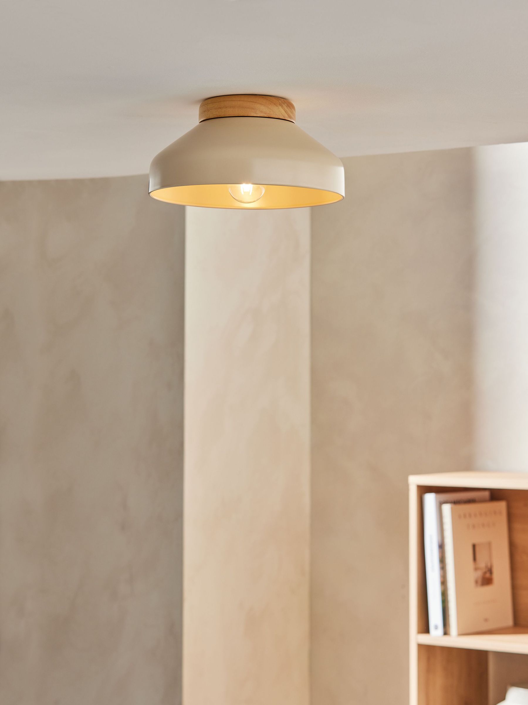 Albert Ceiling Light