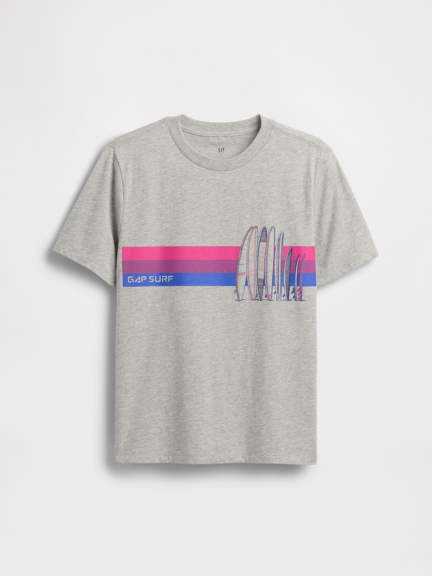 Grey Graphic Short Sleeve T-Shirt (4-13yrs) (H12095) | £10