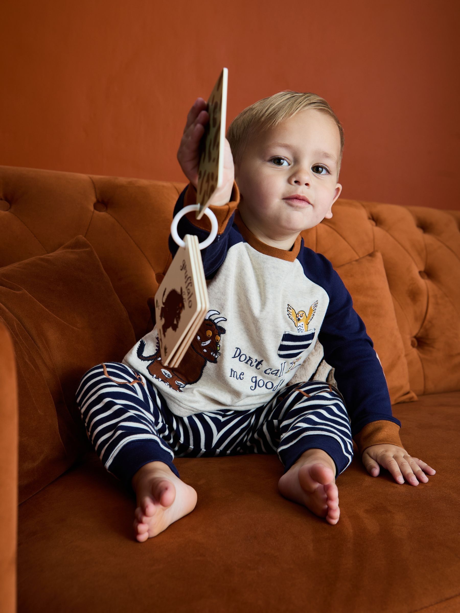 The Gruffalo Character Appliqué Jersey Pyjamas (H12172) | £23