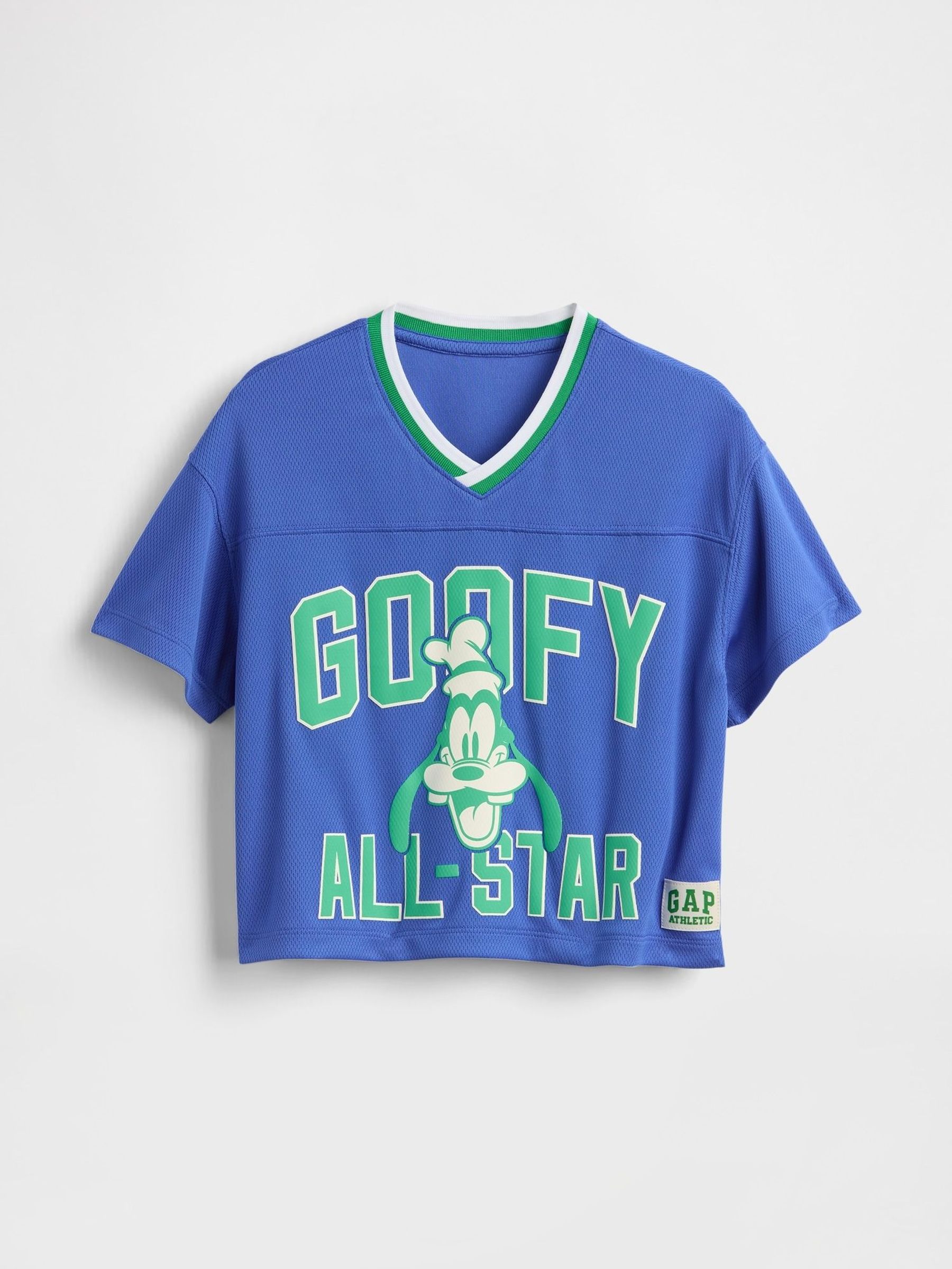 Blue Goofy Disney Mesh Jersey Short Sleeve T-Shirt (6mths-5yrs) (H17268) | £20