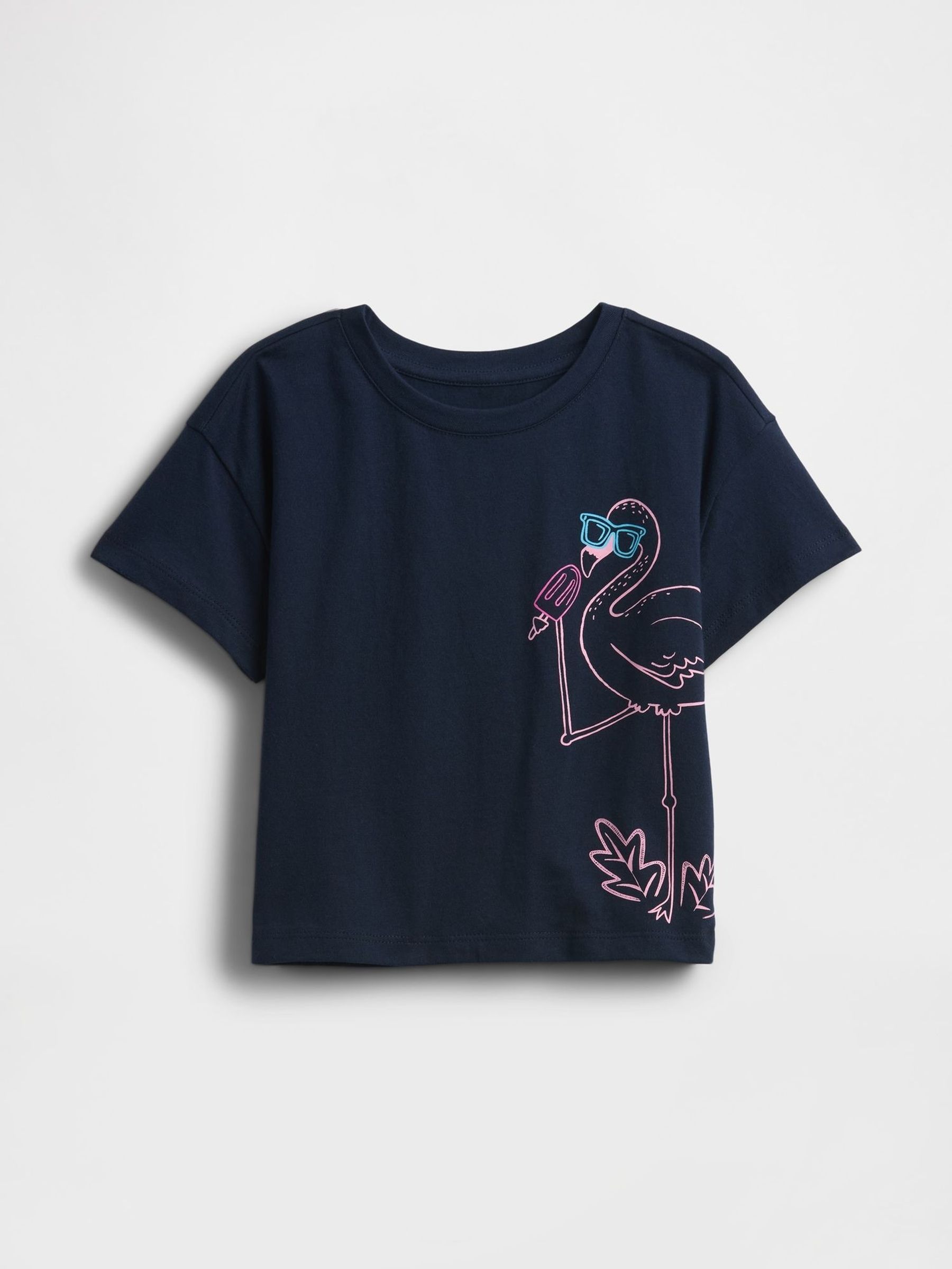 Navy Blue Flamingo Relaxed Graphic Short Sleeve T-Shirt (6mths-5yrs) (H17371) | £16