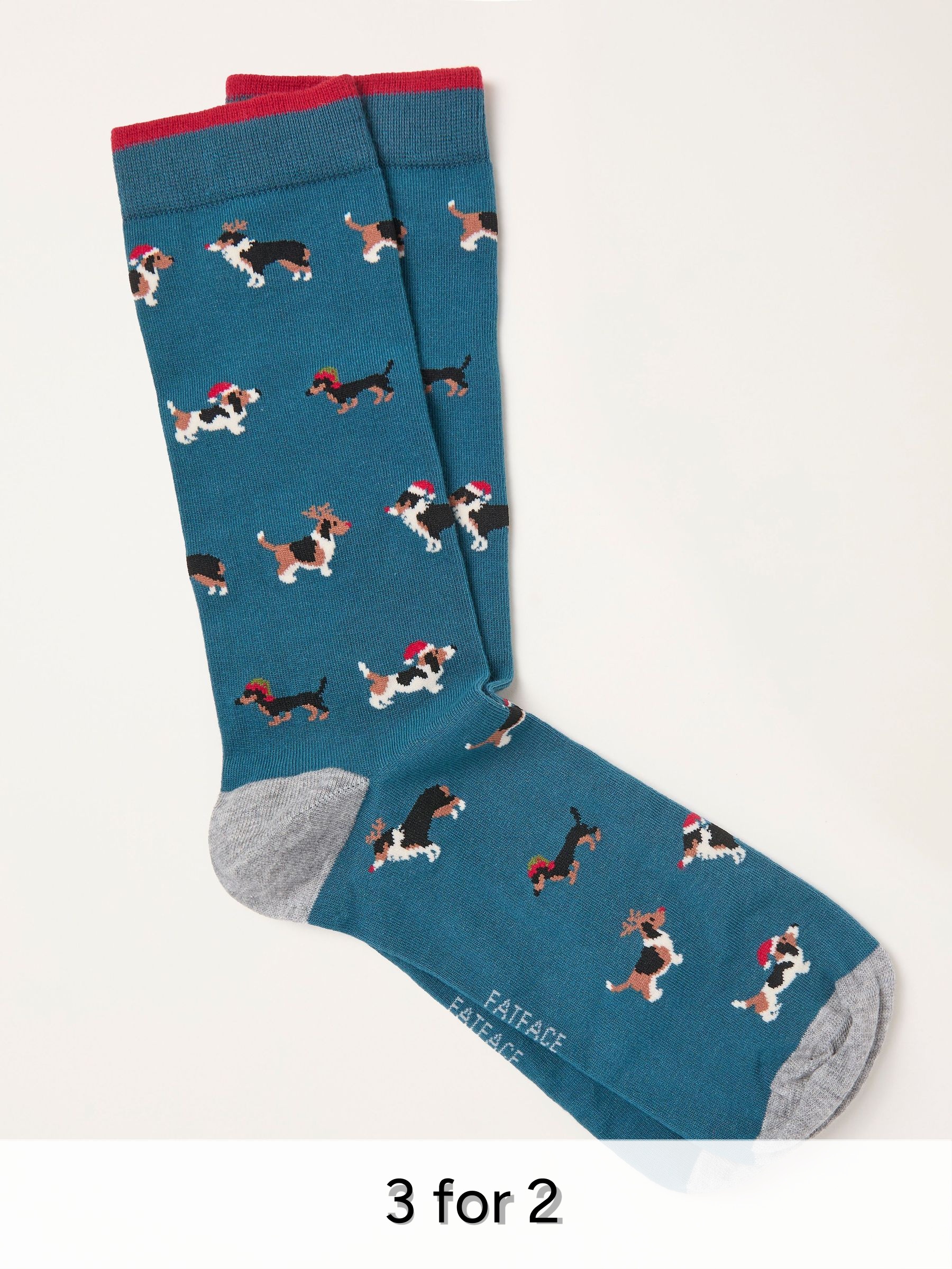 Teal Blue Dog Socks (H21189) | £7.50
