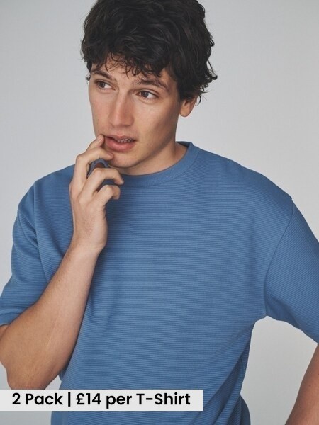 Blue/Stone 2 Pack Cotton Relaxed Fit Crew Neck TShirt (H62853) | £28