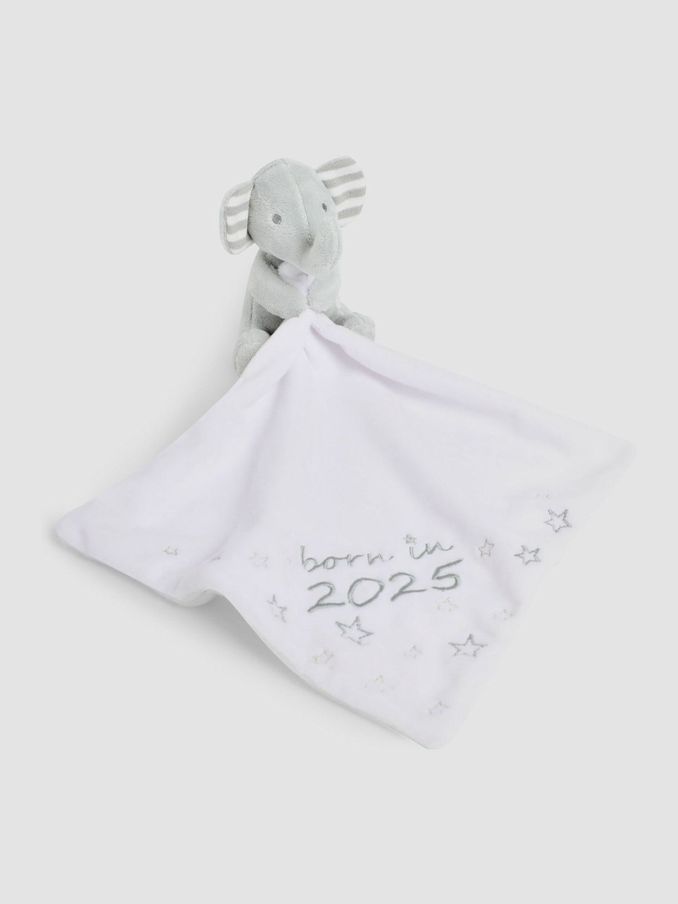 Born In 2025 Comforter (Q60877) | £14