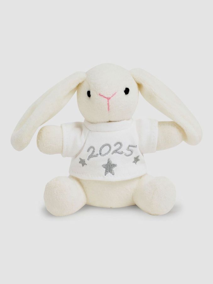 Born in 2025 Bunny (Q60884) | £6