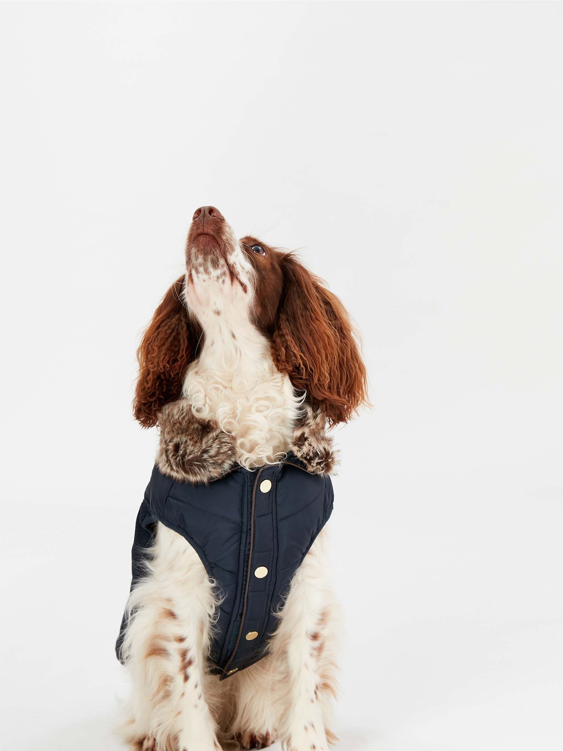 Blue Cherington Padded Quilted Dog Coat (T81732) | £25 - £35