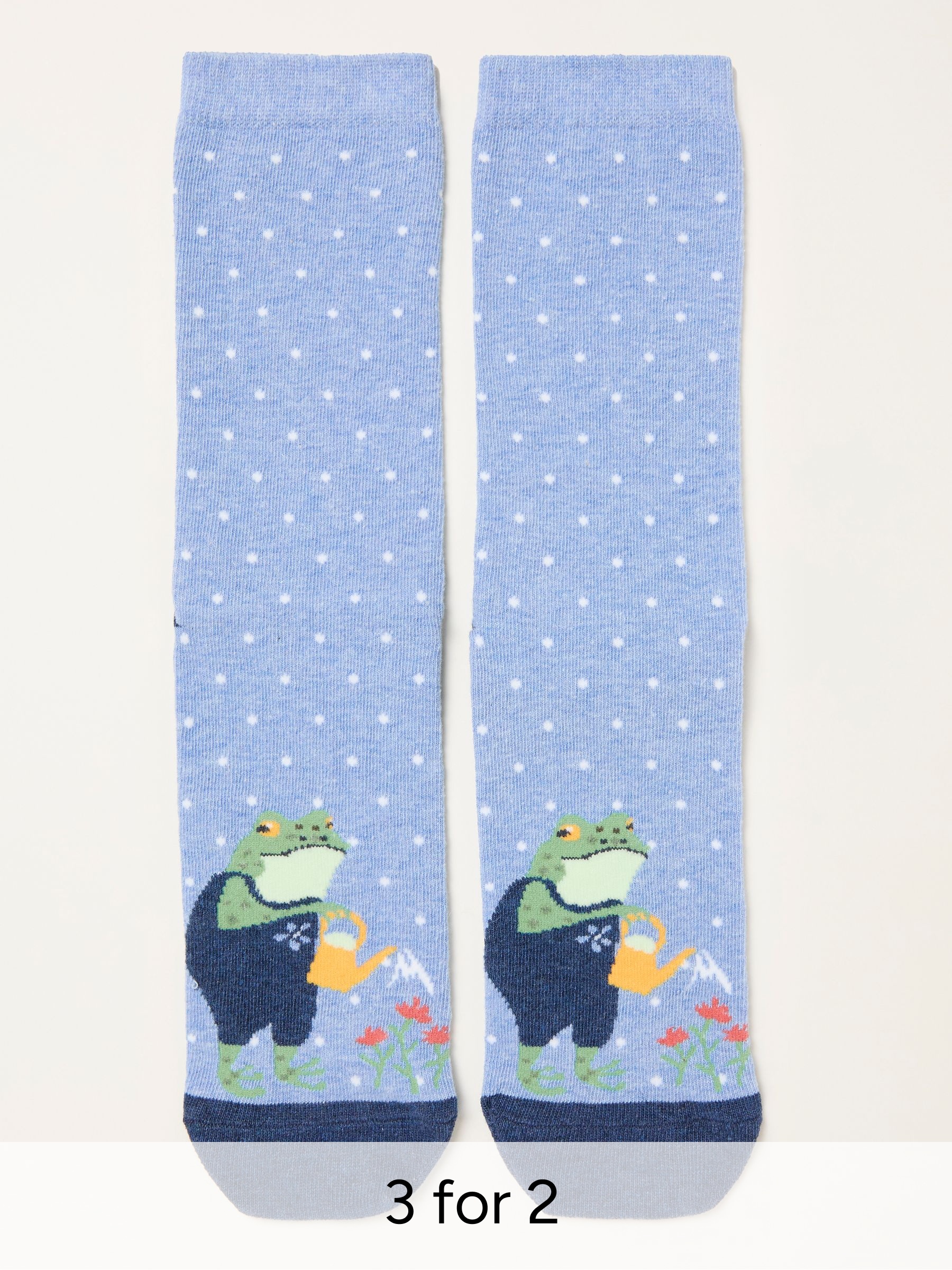 Blue Frog Socks (V12822) | £7.50