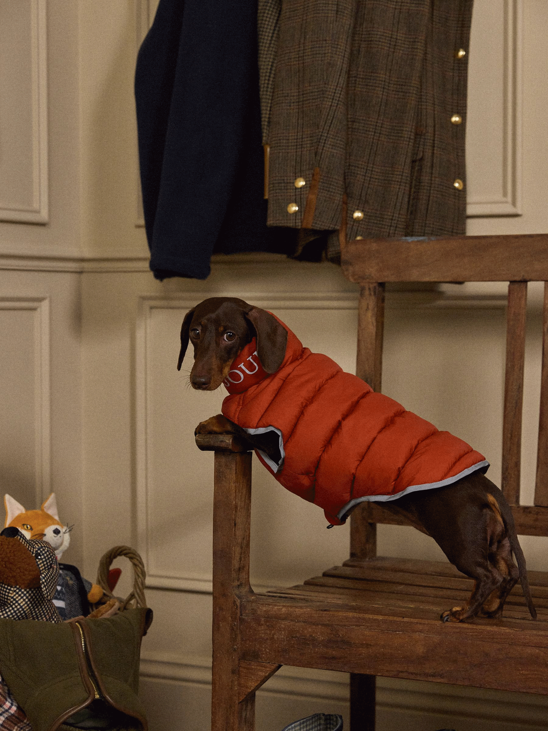 Orange & Brown Reversible Dog Puffer Jacket (V19260) | £26 - £30