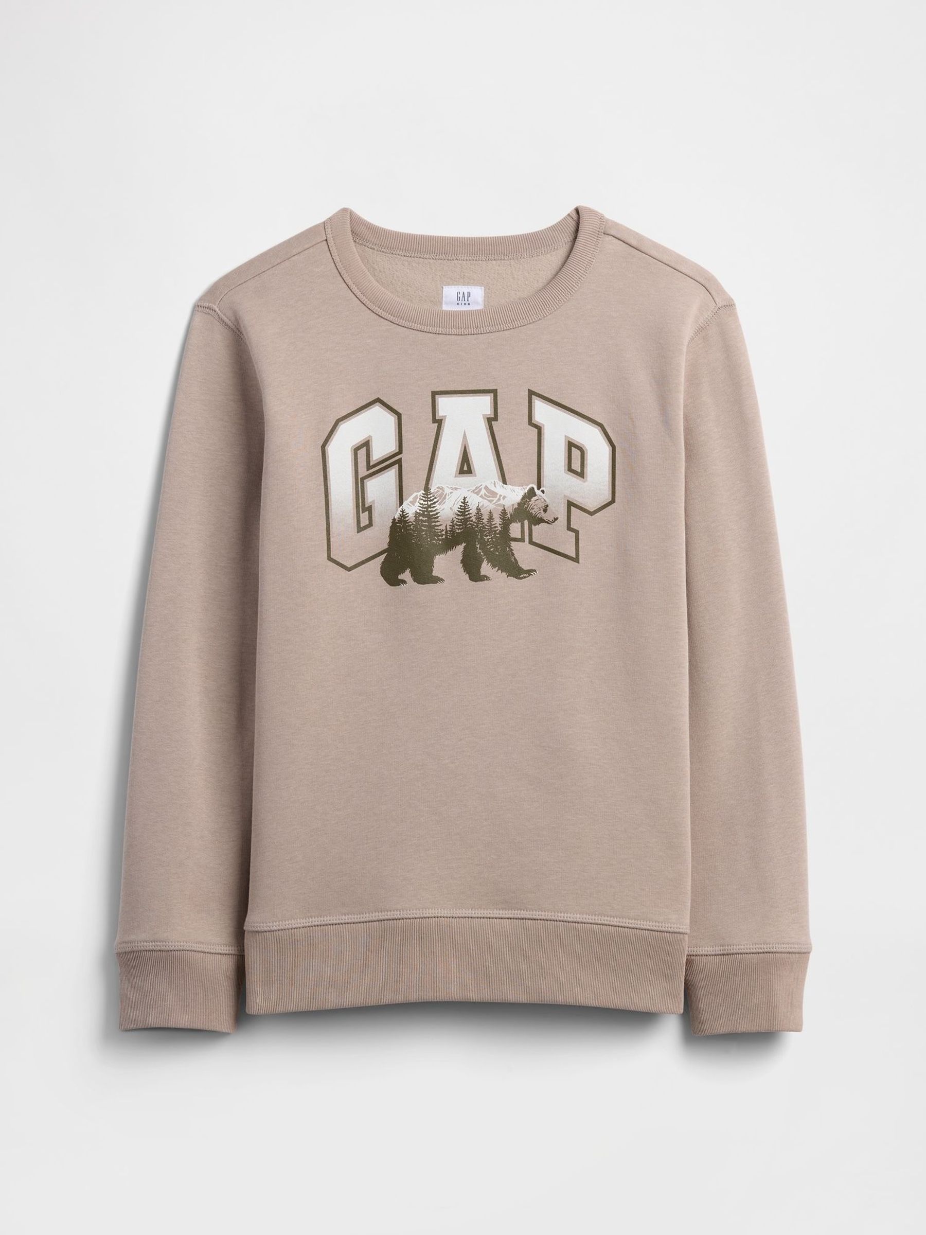 Beige Crew Neck Graphic Sweatshirt (4-13yrs) (V20524) | £16