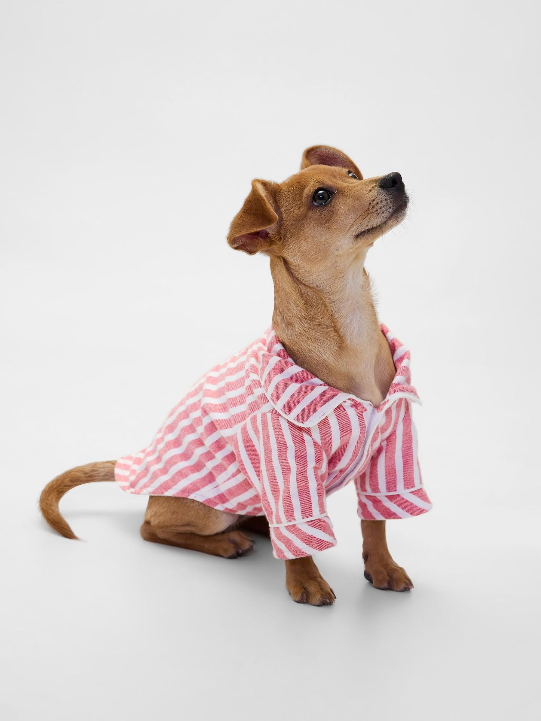 Red Stripe Flannel Pet pyjamas (V20583) | £25