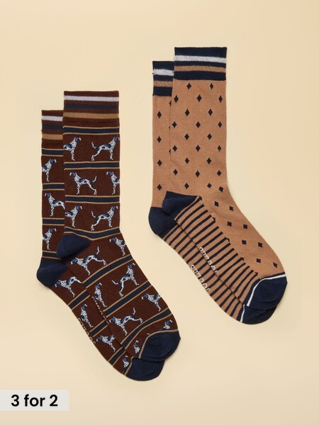 Chocolate Brown Dog - Regular Socks 2 Pack (size 7-12)