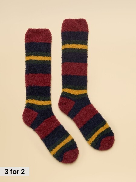 Red & Navy Stripe - Regular Socks
