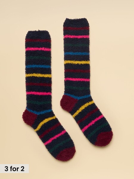 Navy Multi Stripe - Socks (size 4-8)
