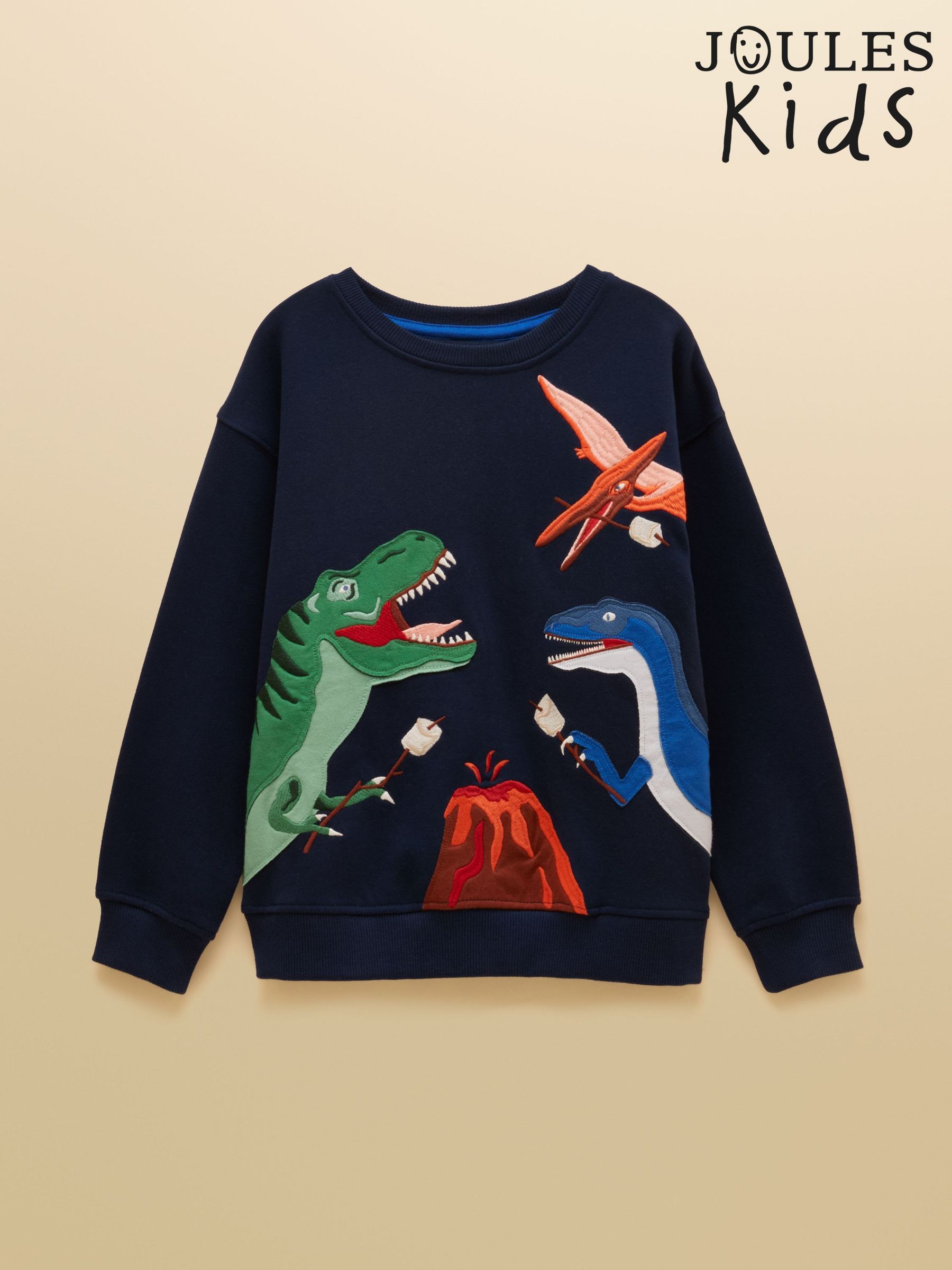 Navy Dino - Applique Sweatshirt
