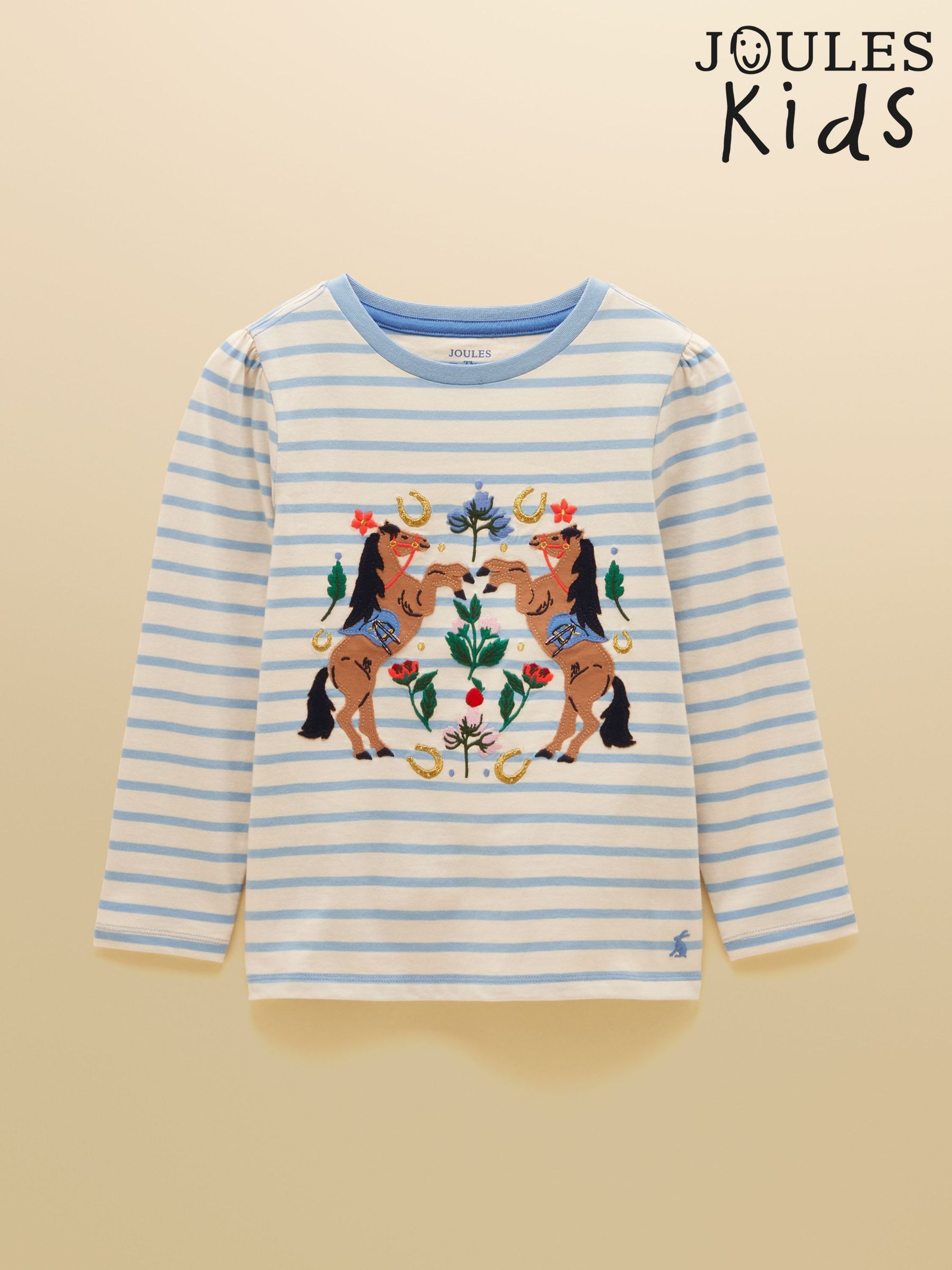 Blue Stripe - Applique Long Sleeve Top