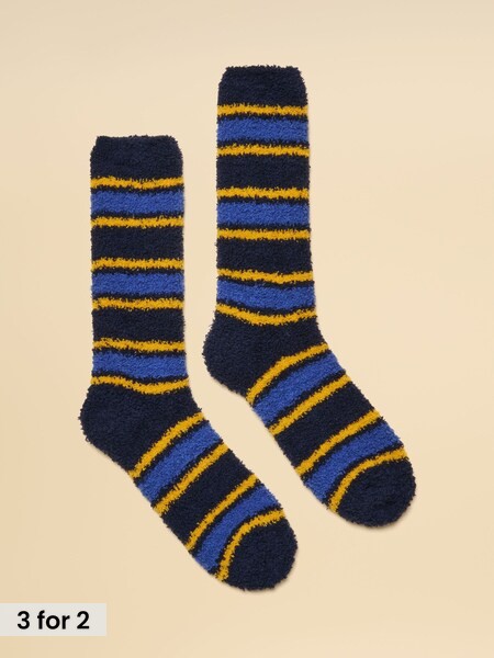 Blue Stripe - Regular Socks