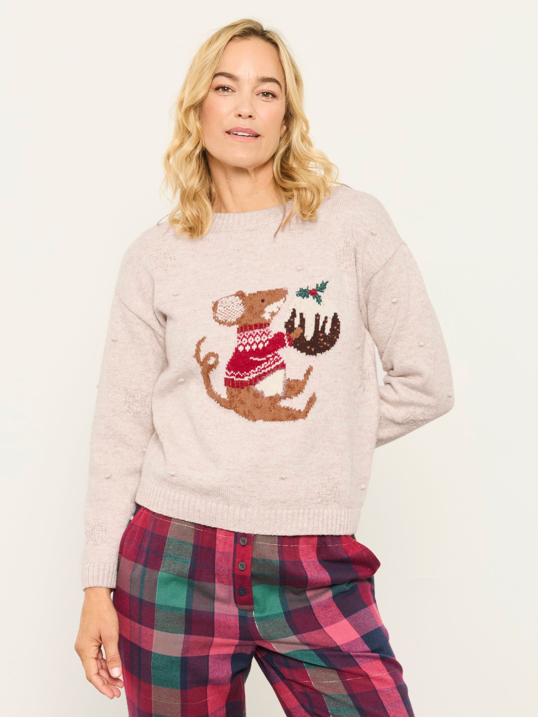 Oatmeal - Christmas Pudding Mouse Jumper