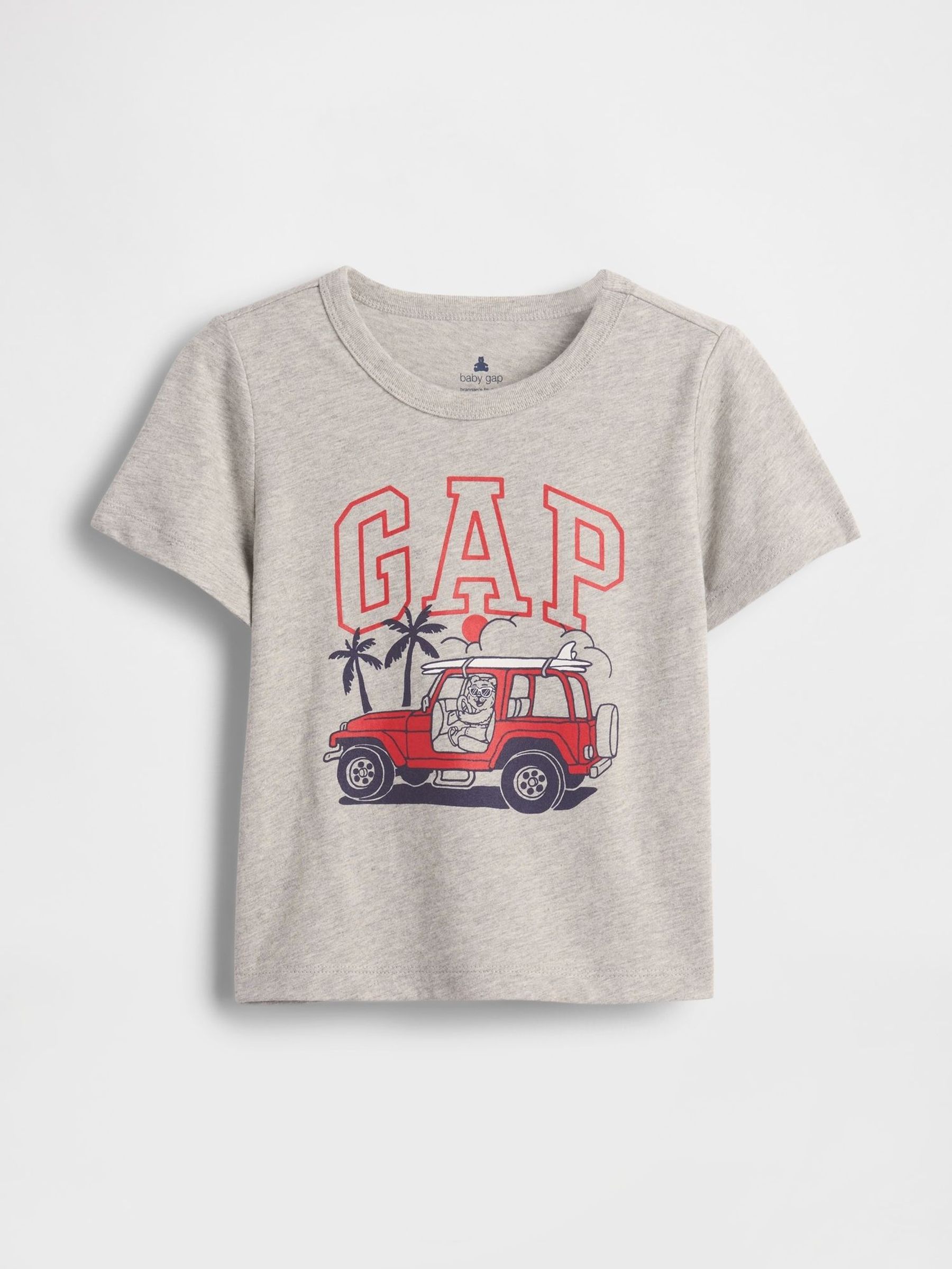 Grey Graphic Short Sleeve T-Shirt (6mths-5yrs) (W27856) | £10