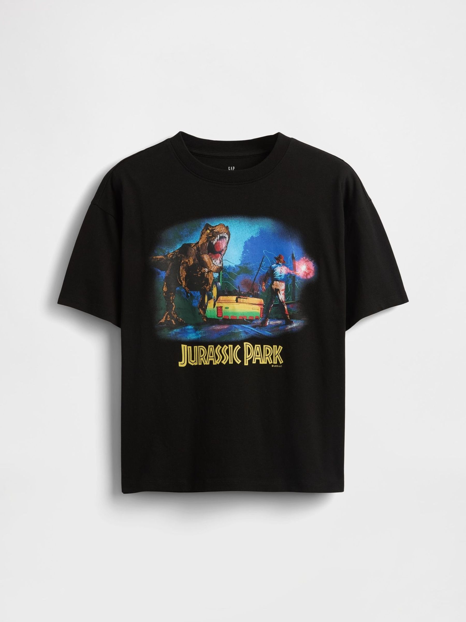 Black Heavyweight Jurassic Park Graphic Short Sleeve T-Shirt (4-13yrs) (W28352) | £25